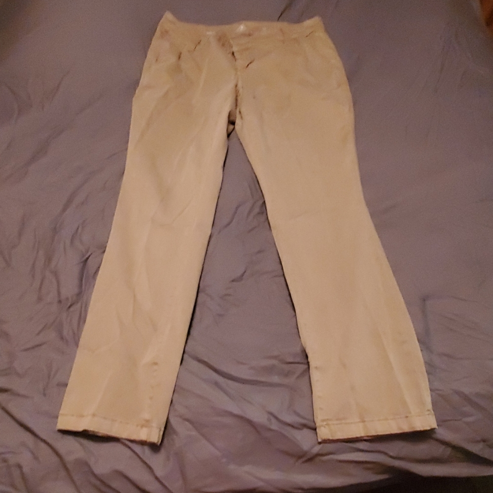 Ladies plus size pants, worn once